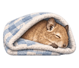 毛布で眠るデグーのスタンプ