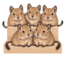 5匹のデグーのスタンプ